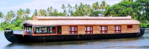 Day cruise at alleppey